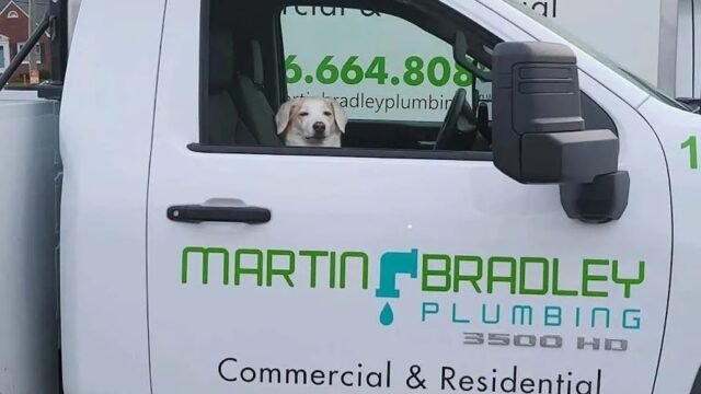 Martin Bradley Plumbing