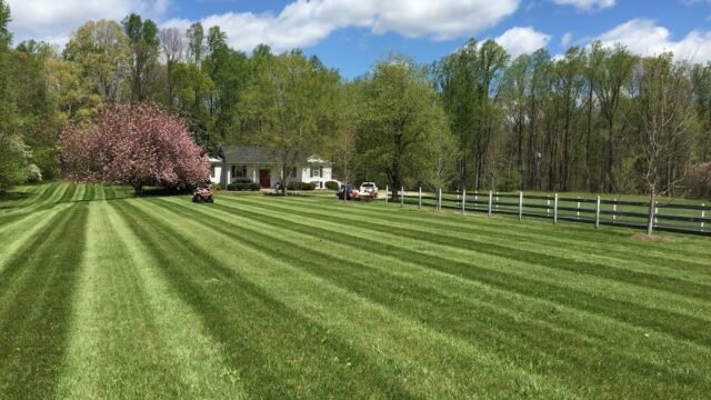 Yard Brothers Landscaping